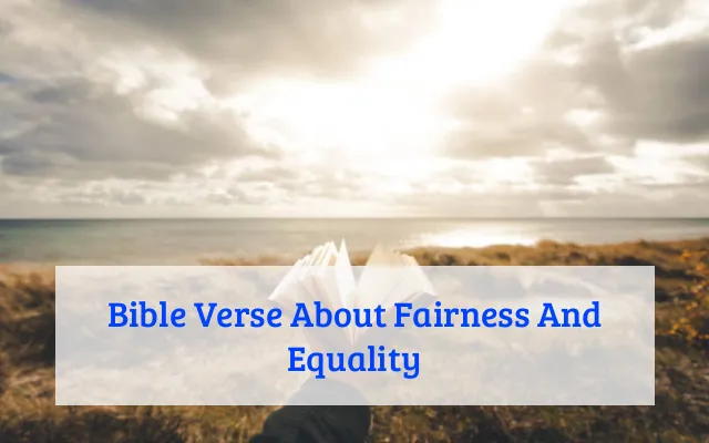 Bible Verse About Fairness And Equality