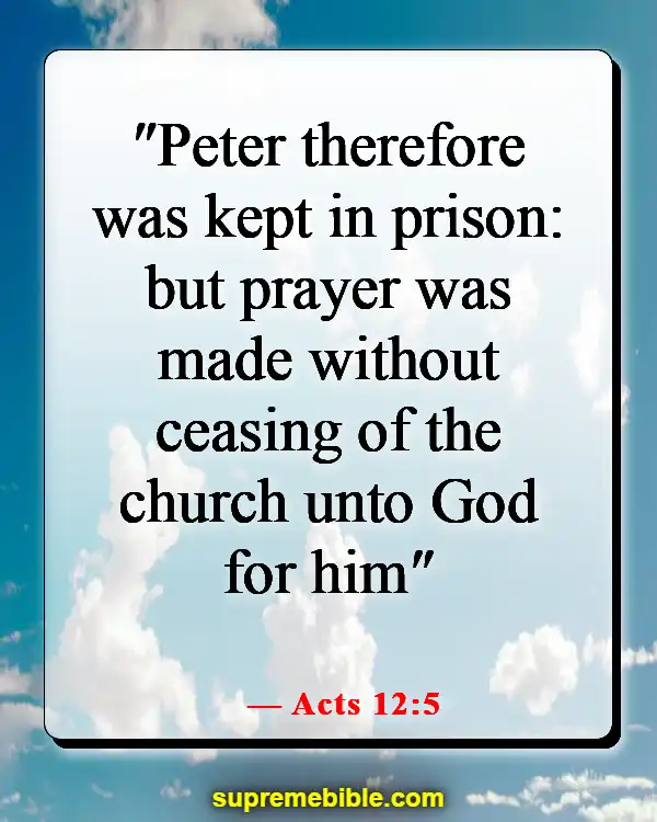 Bible Verse About Praying For Loved Ones (Acts 12:5)