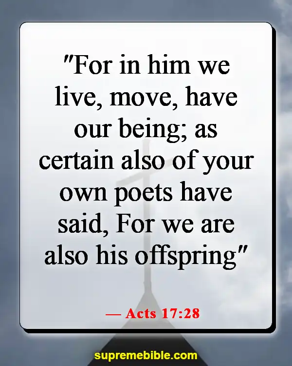 Bible Verses About Living Life With Purpose (Acts 17:28)