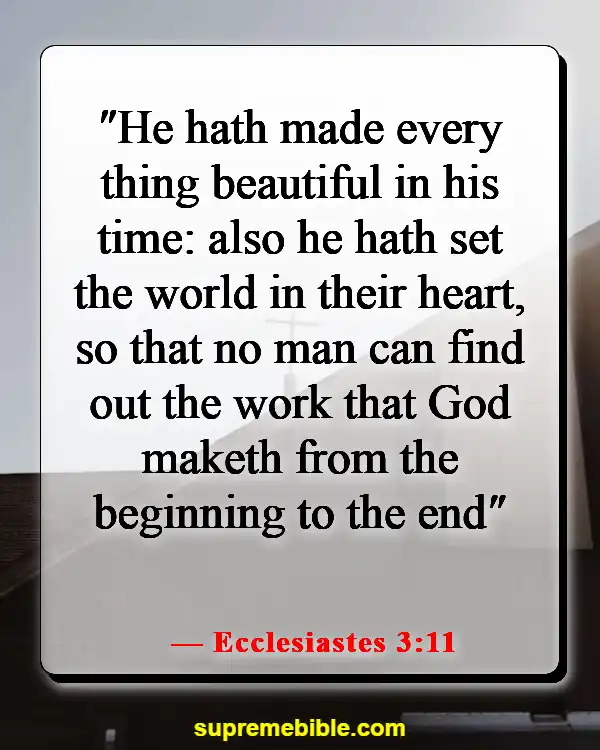 Bible Verses About The Beauty Of God's Creation (Ecclesiastes 3:11)