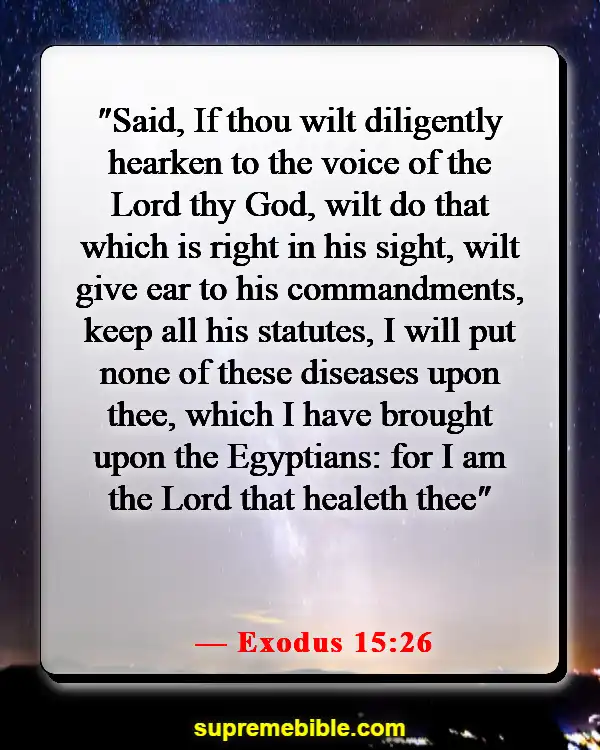 Bible Verse About Fighting Illness (Exodus 15:26)