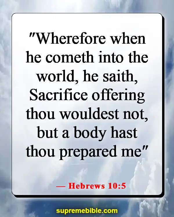 Bible Verses About Jesus Coming Down From Heaven (Hebrews 10:5)