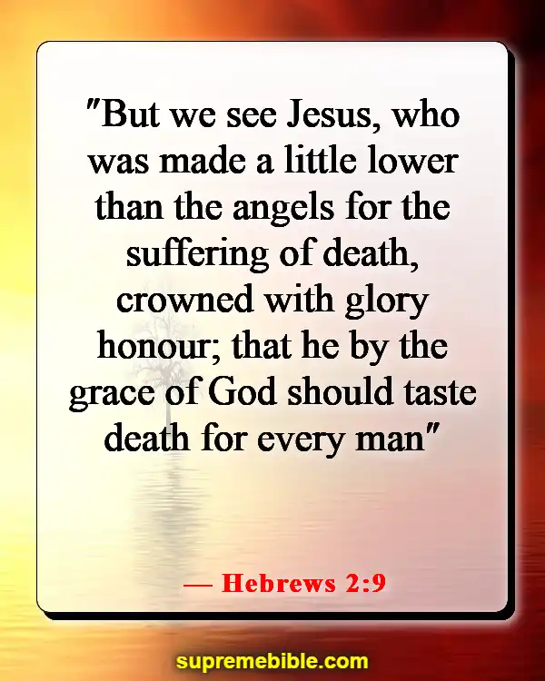 Bible Verses About Jesus As King (Hebrews 2:9)