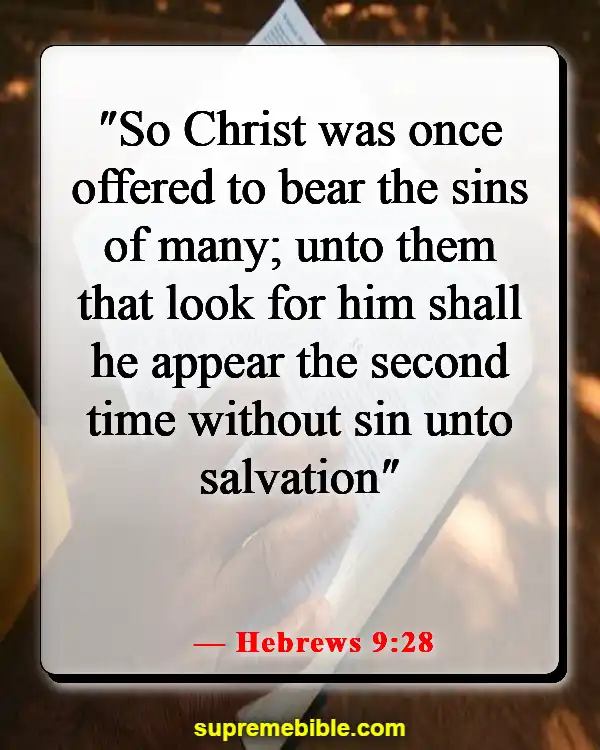 Bible Verses About Jesus Coming Down From Heaven (Hebrews 9:28)