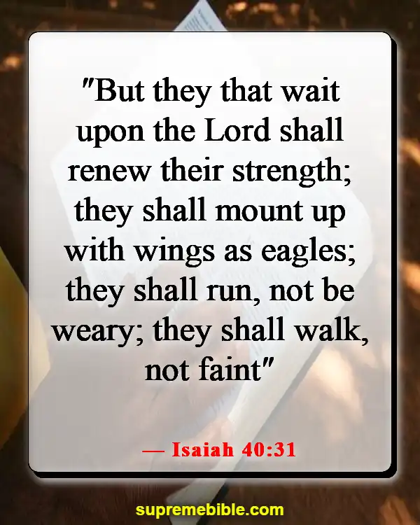 Bible Verses About Walking (Isaiah 40:31)