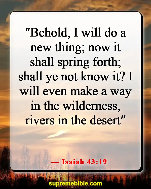 Bible Verses About Opportunity (Isaiah 43:19)