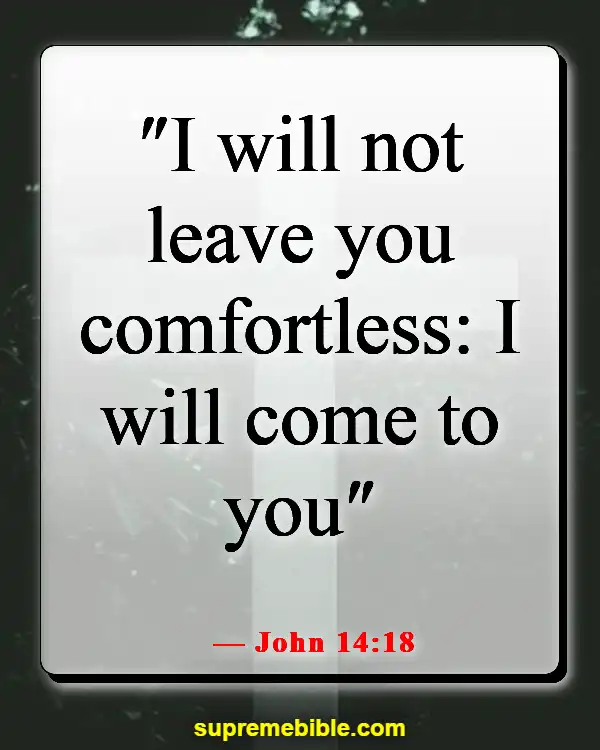 Bible Verses About Overcoming Loneliness (John 14:18)