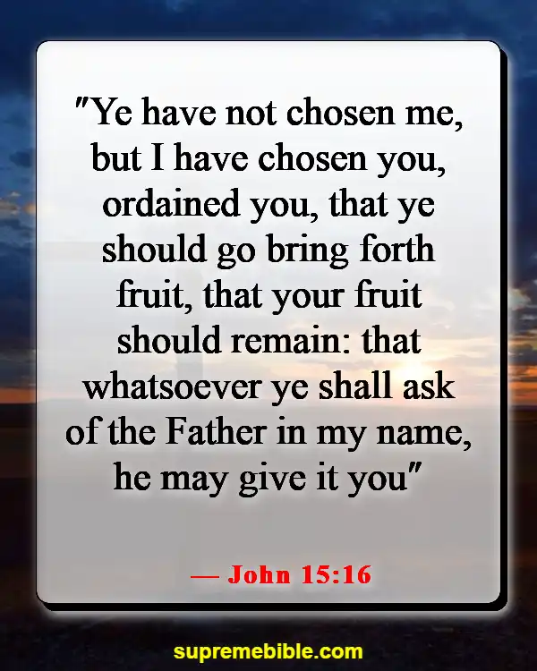 Bible Verses About Opportunity (John 15:16)