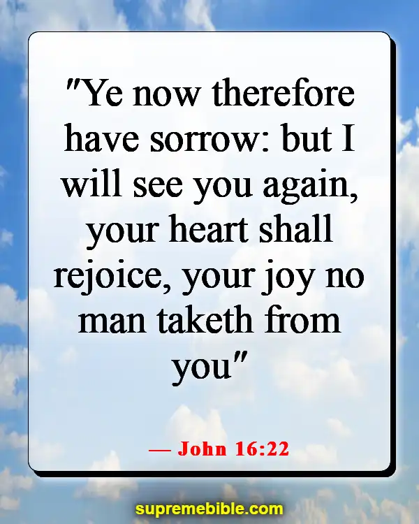 Bible Verses About The Devil Stealing Your Joy (John 16:22)