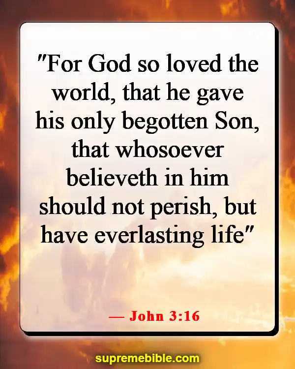 Bible Verses About Being Lost (John 3:16)