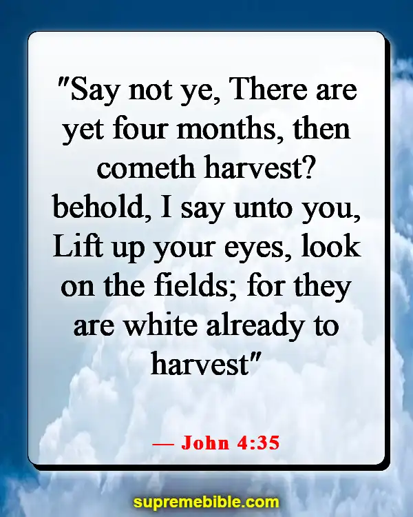 Bible Verse About Saving Lost Souls (John 4:35)