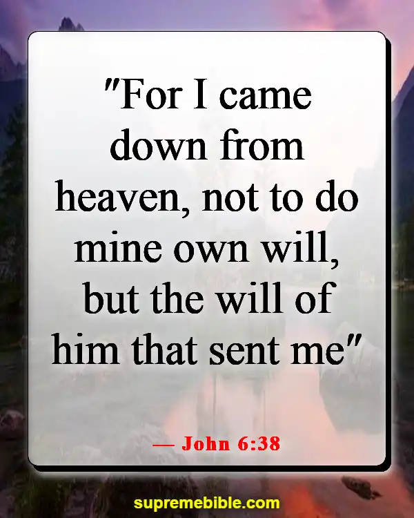 Bible Verses About Jesus Coming Down From Heaven (John 6:38)