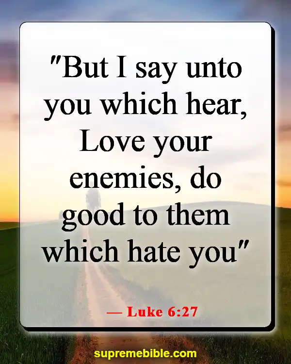 Bible Verses About Haters (Luke 6:27)