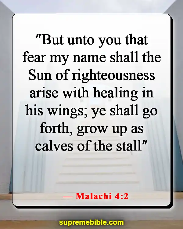 Bible Verse For Healing After Surgery (Malachi 4:2)