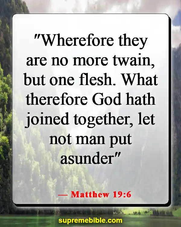 Bible Verses About Living Together Before Marriage (Matthew 19:6)