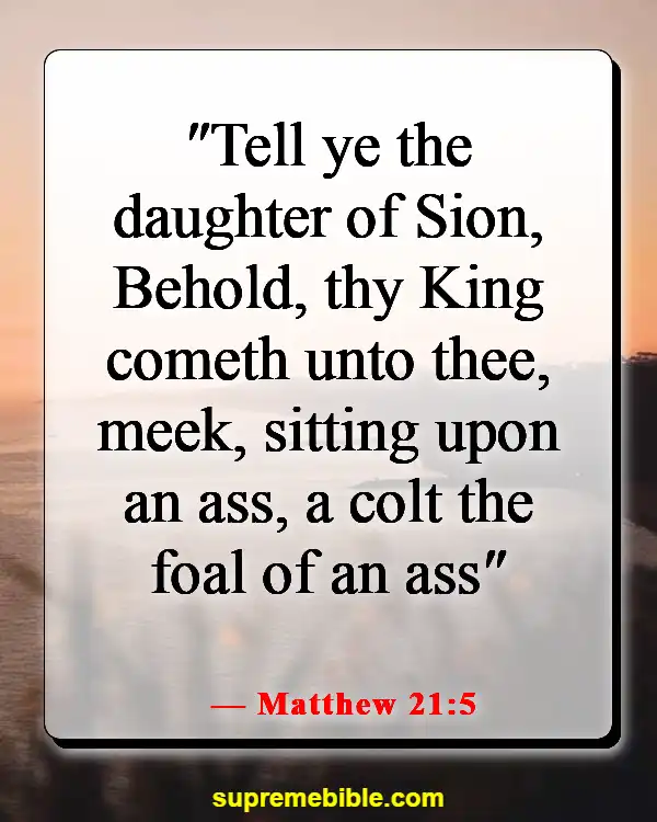 Bible Verses About Jesus As King (Matthew 21:5)