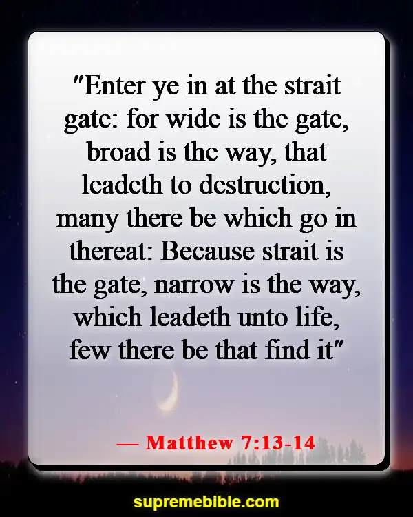 Bible Verses About Entering The Kingdom Of Heaven (Matthew 7:13-14)