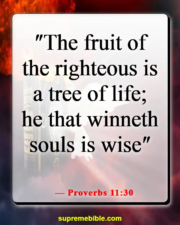 Bible Verse About Saving Lost Souls (Proverbs 11:30)