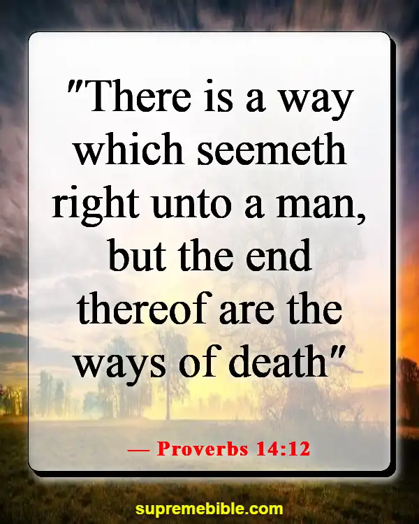 Bible Verses About Choosing The Right Path (Proverbs 14:12)