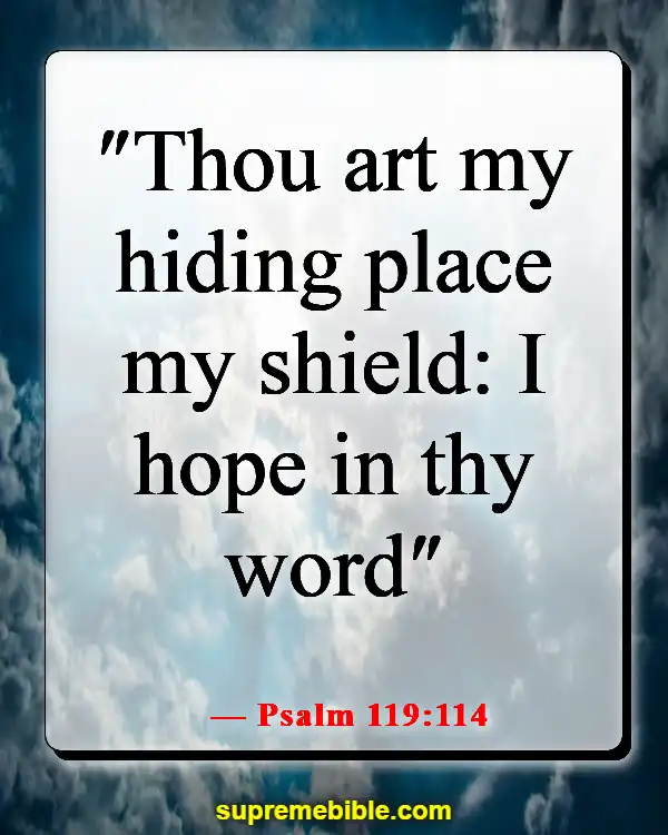 Bible Verses About Lost Hope (Psalm 119:114)