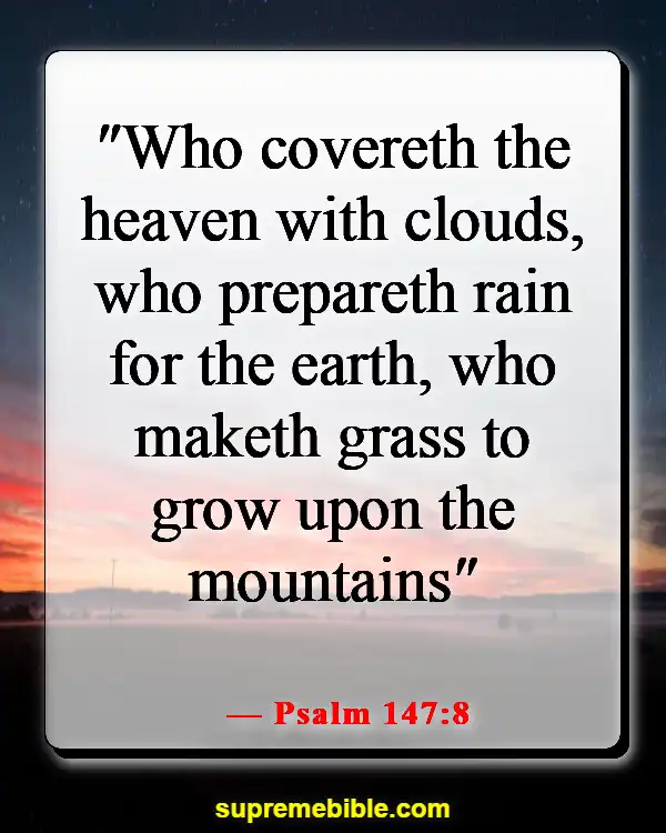 Bible Verses About The Beauty Of God's Creation (Psalm 147:8)