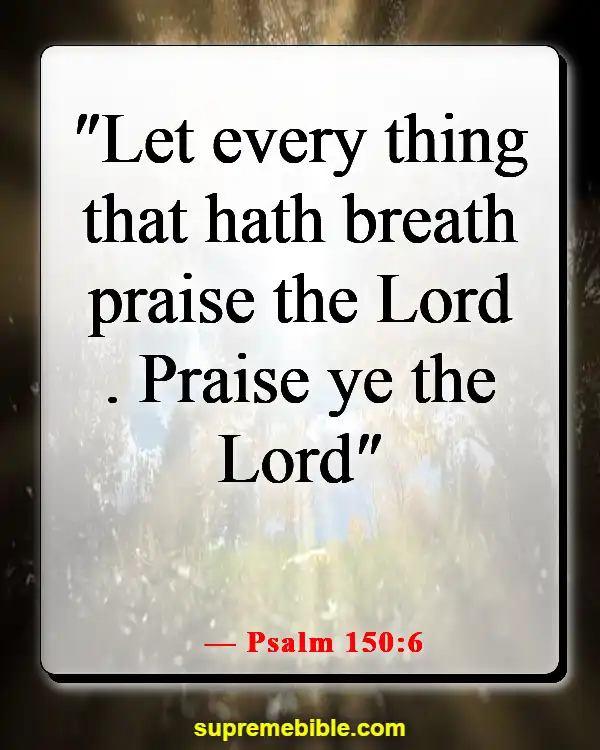 Bible Verse About Heart Of Worship (Psalm 150:6)