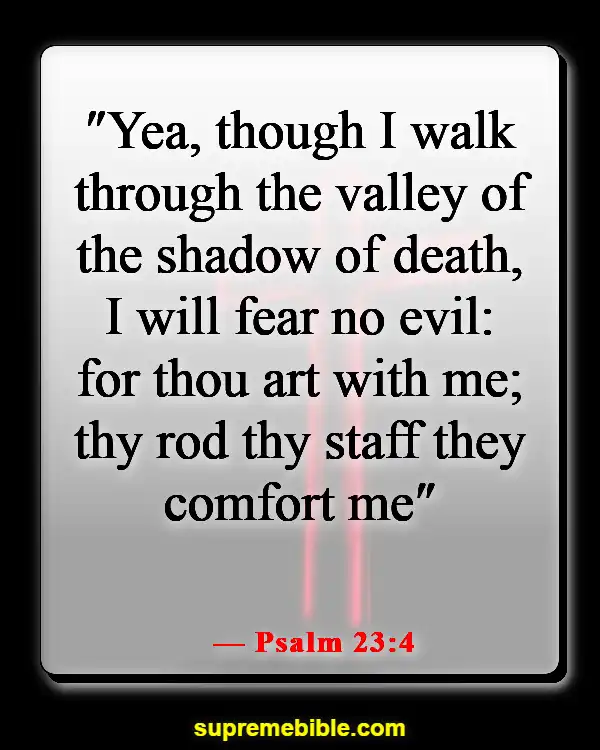 Bible Verses About Prayer During Hard Times (Psalm 23:4)