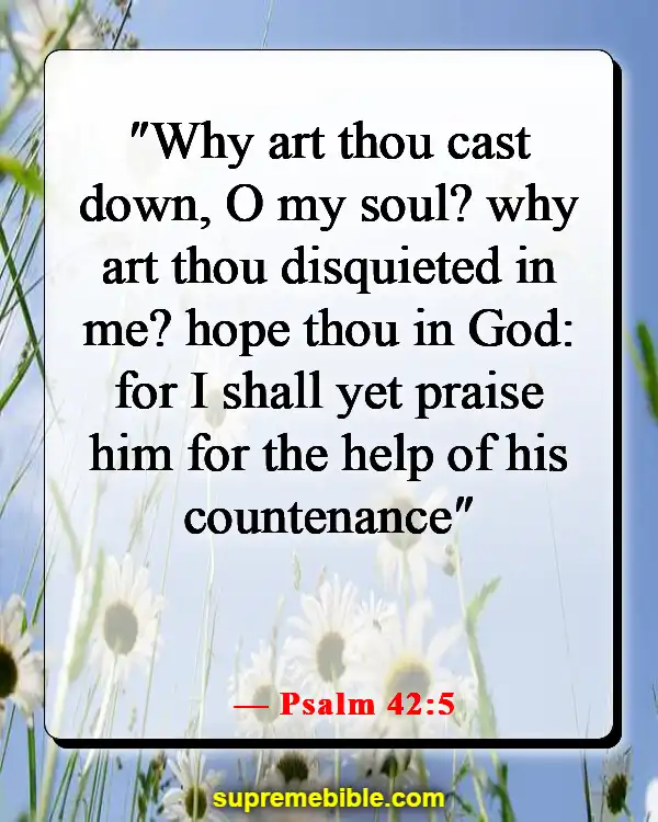 Bible Verses About Not Worrying About The Future (Psalm 42:5)