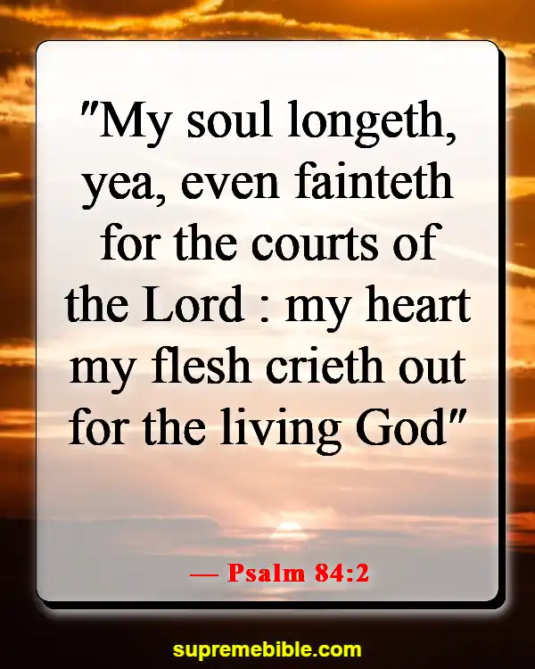 Bible Verses About Finding Joy And Happiness In The Lord (Psalm 84:2)