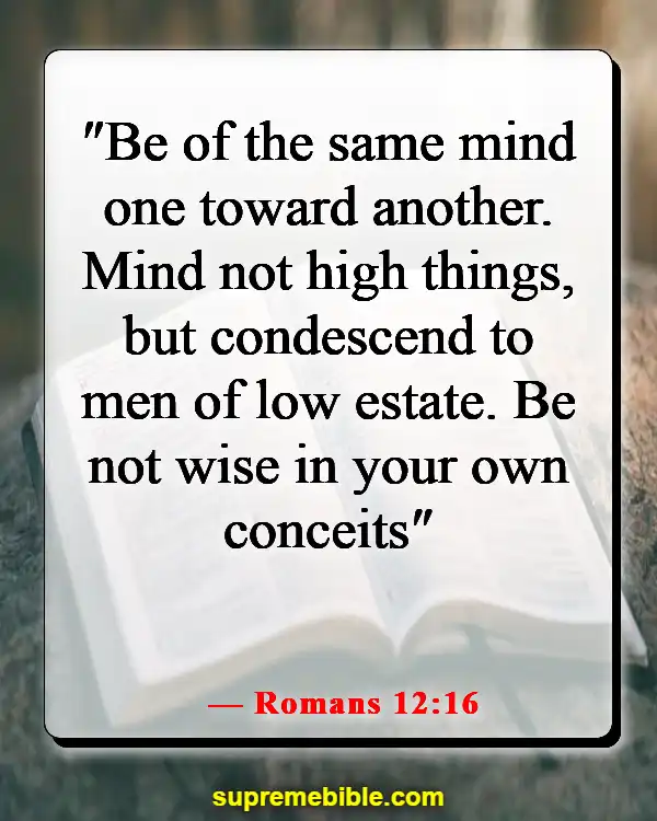 Bible Verse About Fairness And Equality (Romans 12:16)