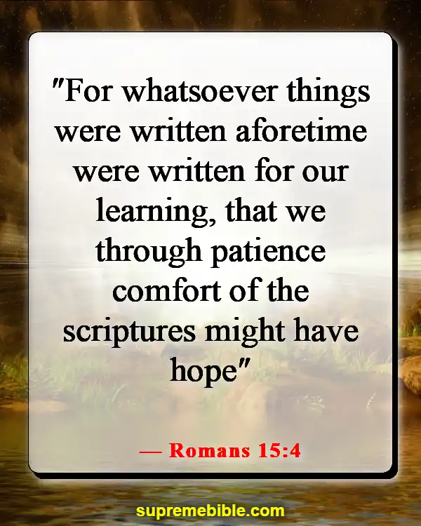 Bible Verses About Applying Scripture To Everyday Life (Romans 15:4)