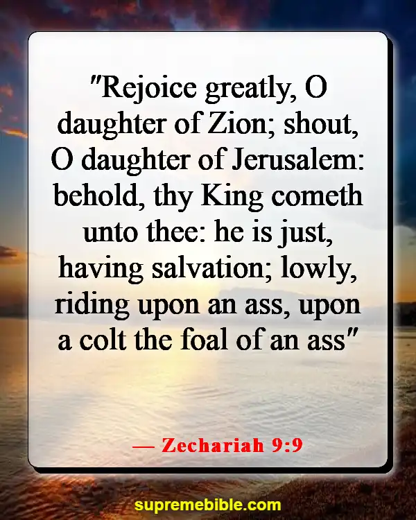 Bible Verses About Jesus As King (Zechariah 9:9)