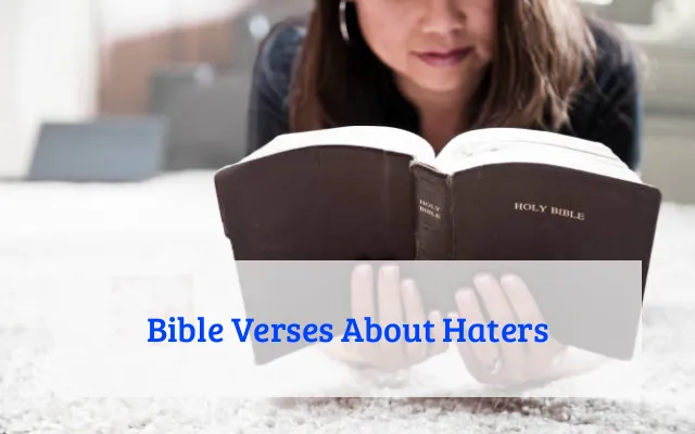 Bible Verses About Haters