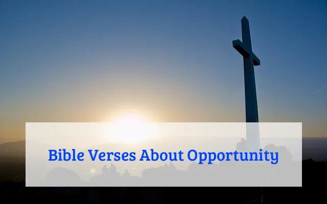 Bible Verses About Opportunity