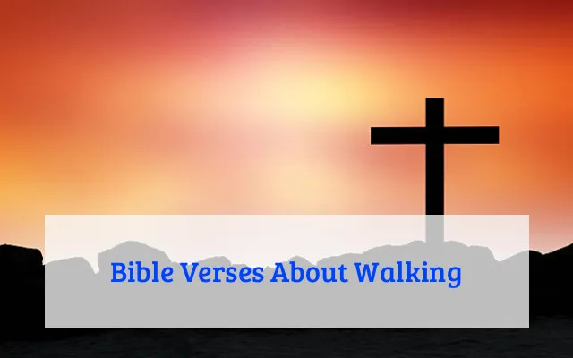 Bible Verses About Walking